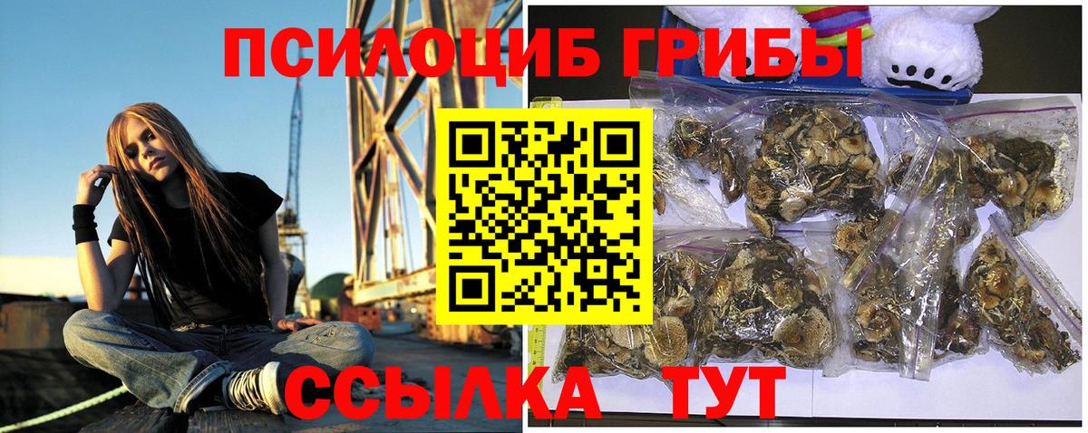 Галлюциногенные грибы Psilocybe  Галлюциногенные грибы мухоморы  Вход с VPN  Сибай 